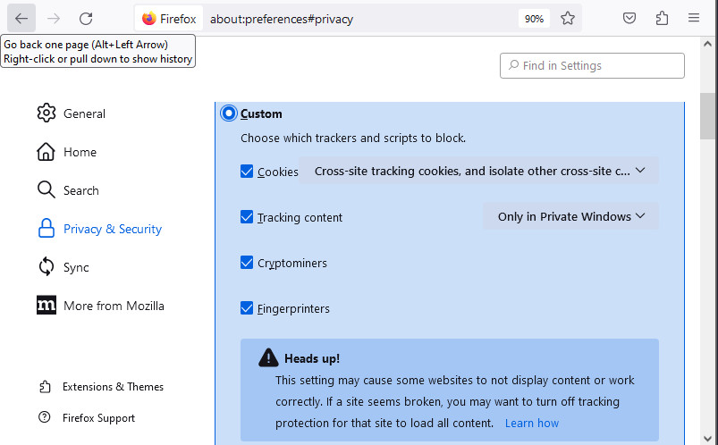Browser privacy settings