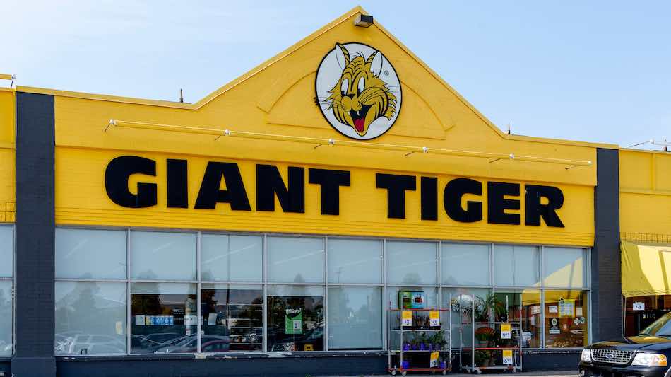 Giant Tiger Customer Data Allegedly Leaked Online Following Breach