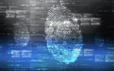 Identity Theft Protection Comparison Guides