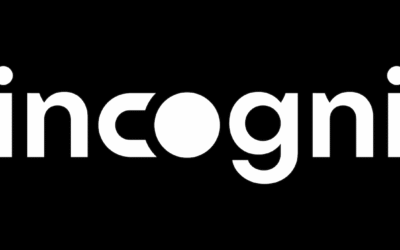 Incogni Review