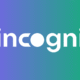 Incogni's Data Removal Service Validated by Deloitte Audit