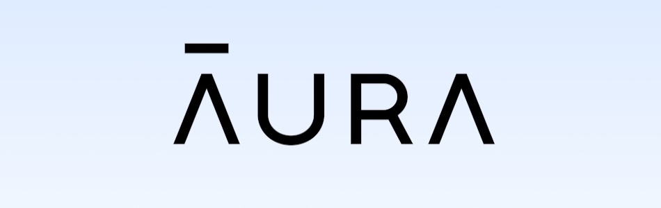 Aura Data Removal best guide 2025