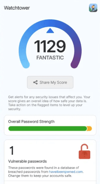 1Password mobile app WatchTower