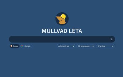 Mullvad shuts down Leta Search proxy citing shifting industry landscape