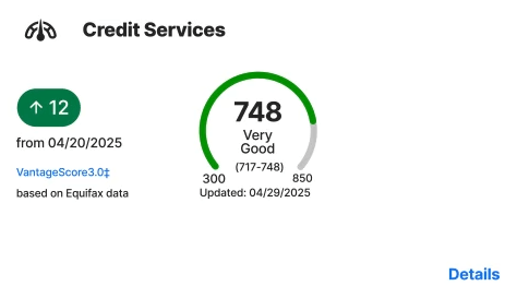 LifeLock credit monitoring