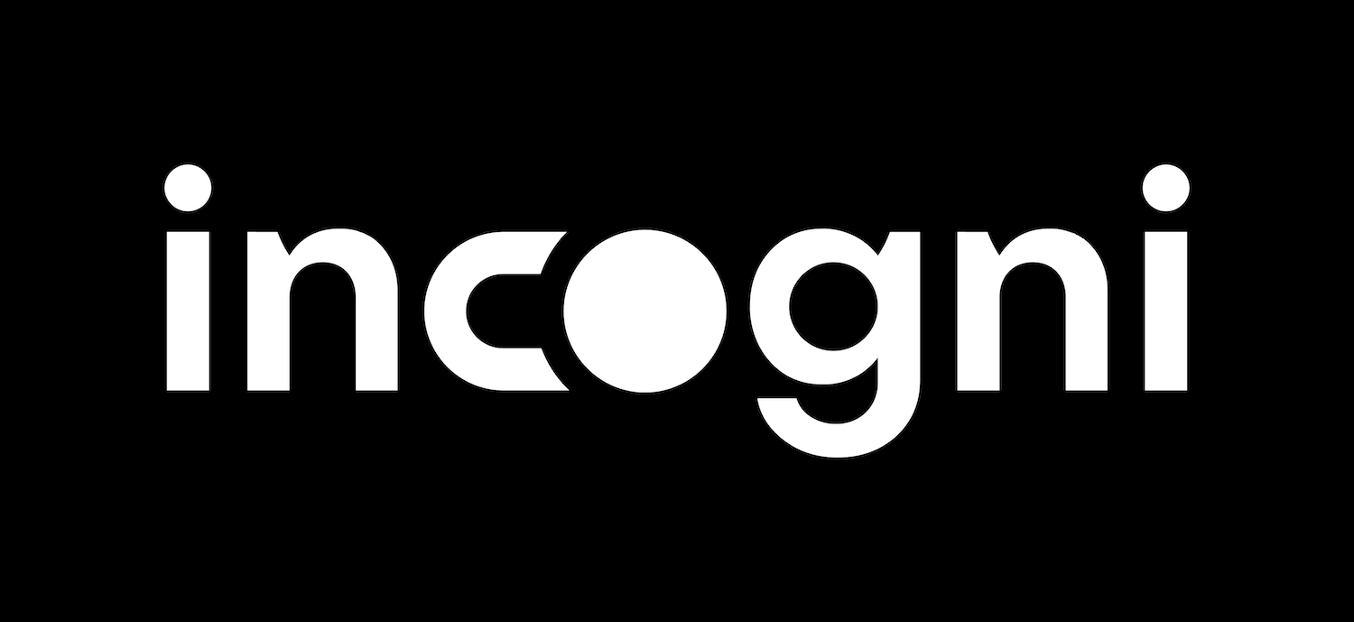 Incogni Review
