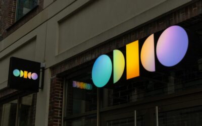 ShinyHunters publishes remaining Odido customer data, exposing millions of ID numbers