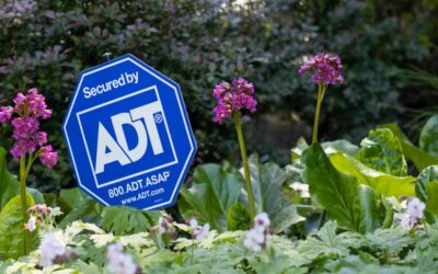 ADT confirms data breach after hacker claims 10 million records stolen
