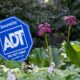 ADT confirms data breach after hacker claims 10 million records stolen