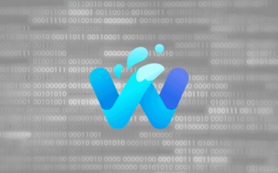 Waterfox browser to add Brave’s adblock engine, allow search ads for revenue