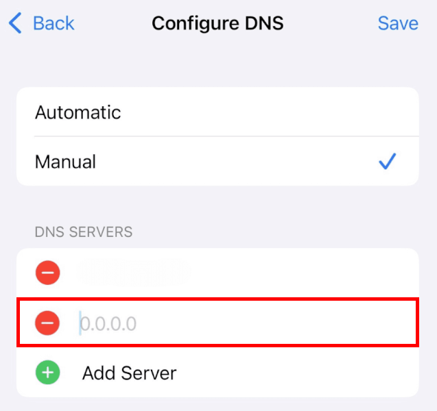 ExpressVPN type in the DNS server IP address