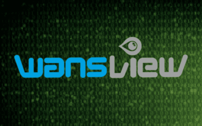 20-year-old web server flaw shipped in modern security camera