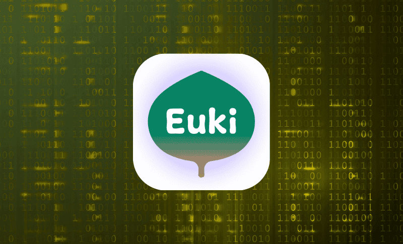 Mozilla study ranks Euki as the most private period tracker