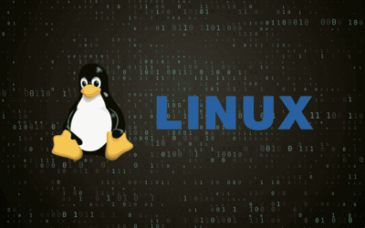 California moves to exempt Linux from new age-verification law