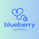 Blueberry Pediatrics discloses health data theft through Metabase flaw